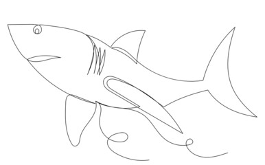 shark in one line, outline, vector, isolated