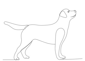dog one line drawing, outline, vector, isolated