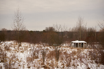 B&auml;ume auf der Wiese