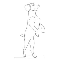 dog one line drawing, outline, vector