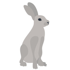 hare, rabbit flat design on white background isolated, vector