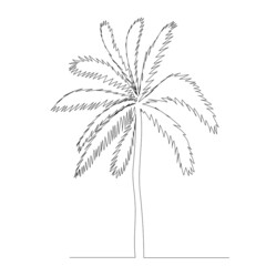 polma one line drawing ,vector, isolated