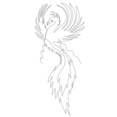 phoenix bird, firebird one line drawing ,vector, isolated
