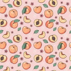 Peach or apricot hand drawn seamless pattern. Vector illustration in doodle style