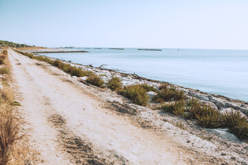 Fototapeta na wymiar Beach panorama in sunny day