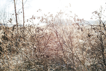 Beautiful winter background image. Desktop wallpapers.