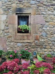 Fototapeta na wymiar window in stone facade with beautiful flowers in front