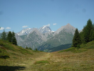 Fototapeta premium scenic view on a mountain meadow panorama on Italian Alps with copy space for your text