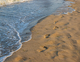 Footprints of a man on the yellow beach sand from walking barefoot by the sea with water that washes away the footprints.