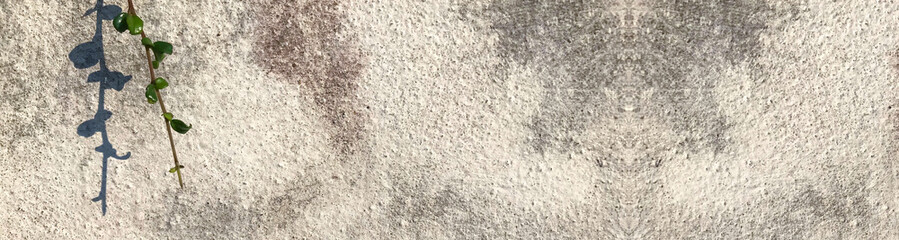 concrete white wall pattern texture background