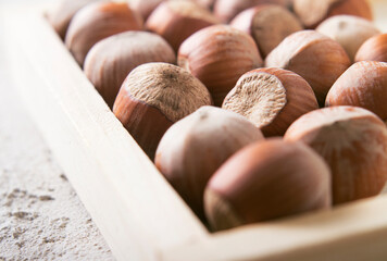  Hazelnut in a box Food background closeup