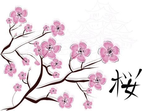 beautiful pattern and background with sakura