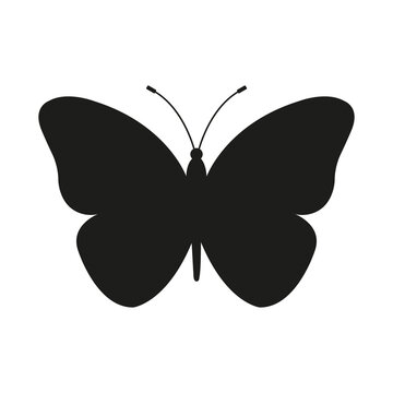 Butterfly. Vector image.