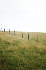 Zaun in der Natur