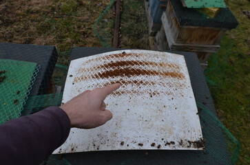 control of mite pest fall from bee brood. according to number of mites, the examination by vet is determined by treatment procedure. dead bees determine quality of hibernation. wax,disturbing 