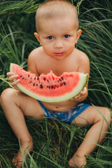 Little boy eating watermelon on green grass. Childhood in the village. Happy child eating watermelon.