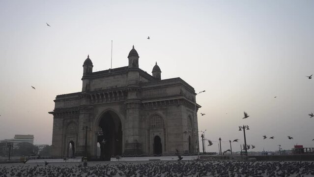 the lots of pigeon gathered in front of gateway of India Mumbai.
