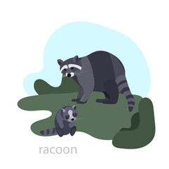 North American Wild Animals