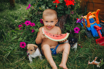Little boy eating watermelon on green grass. Childhood in the village. Happy child eating watermelon. Baby and little puppies on the green grass