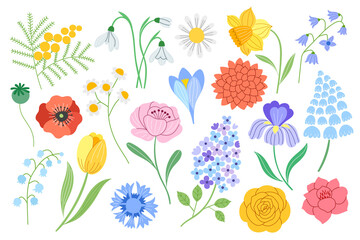 Spring flower vector set isolated on white. Wildflowers