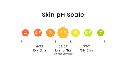 Fototapeta Skin pH value scale chart for normal, dry and oily. Indication of lipid barrier acid mantle. Acid-base balance from 4 to 7 infographic isolated on white background. Vector illustration obraz