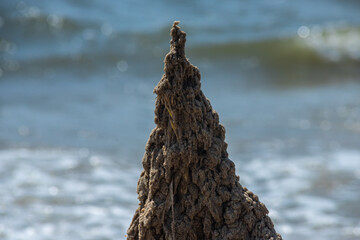 sand castle on the beach near the water. High quality photo