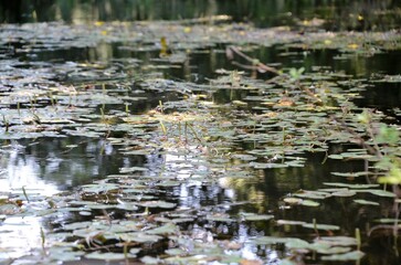 Ponte Maceira, localidad gallega con un precioso puente medieval. España.