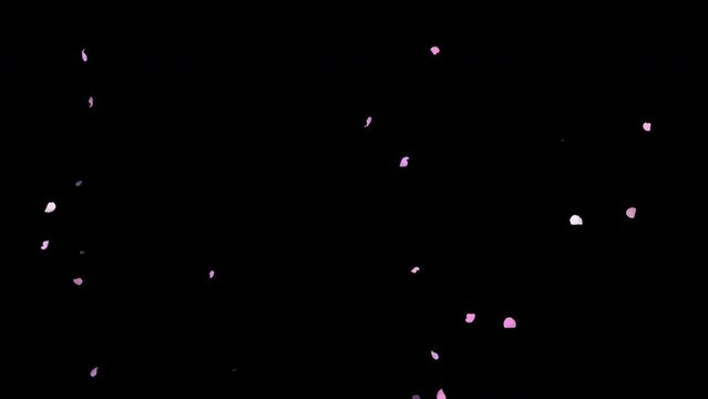 Cherry blossoms fluttering background graphics 4K video (background transparent)