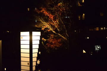 伊香保温泉の夜景
