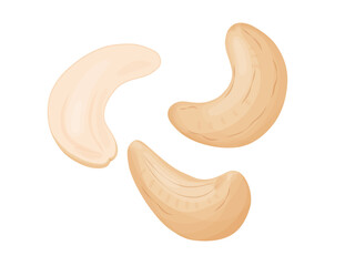 Cashew nuts. Illustration of delicious healthy vegan snack.