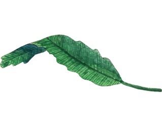 Obraz premium Flowers watercolor set