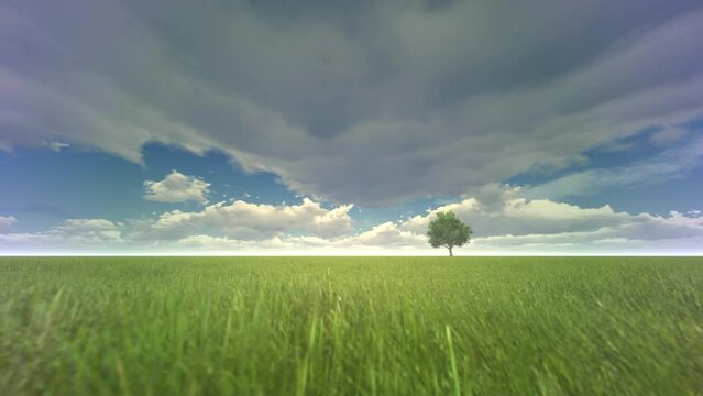 A solitary tree in the middle of the field, high wind, 4K