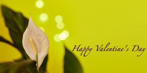 Happy Valentines Day - Grusskarte mit Blume und freien Platz rechts, bokeh banner design yellow.