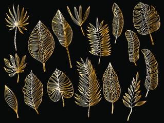 Golden Tropical Leaves Set. Black luxury line collection. Vector.
