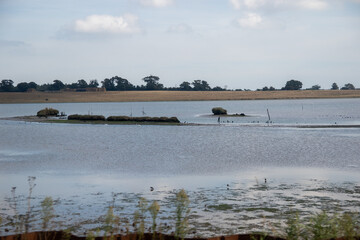 The River Blyth near Blythburgh, Suffolk