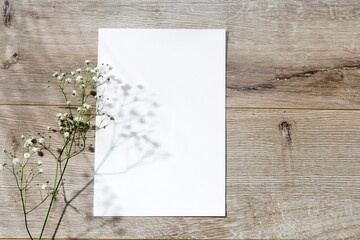Blank paper business cards with mockup copy space on gypsophila on beige background. Minimal...