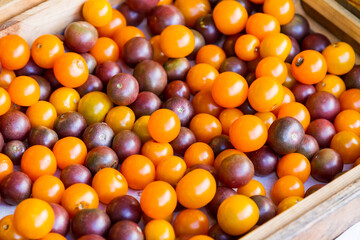 Fresh tropical fruits