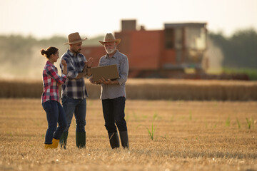 Three farmers with laptop talking in field during harvest - 484408792