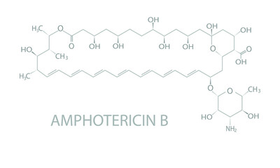 Amphotericin B molecular skeletal chemical formula.	
