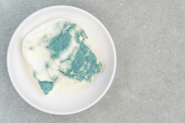top view mold covered yogurt on a plate