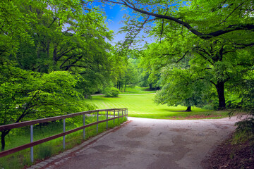 Green trees in park