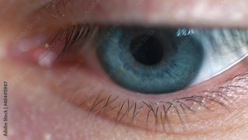 Canvas Prints Beautiful blue eyes macro of man. Eye moves, eyelid opens. Concept for sensory perception and reading.