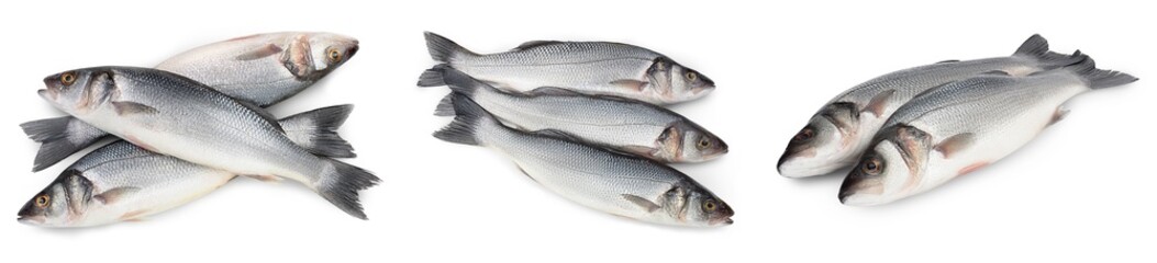 Sea bass fich isolated on white background. Top view. Flat lay. Set or collection
