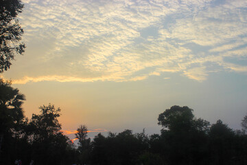 Fototapeta na wymiar Dawn in Angkor Wat Jungle Sky