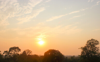 Fototapeta na wymiar Pale orange morning sky over the Angkor Wat jungle.
