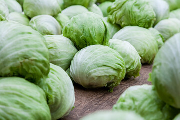 Fototapeta premium Iceberg lettuce