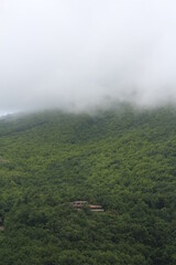A mountain covered in fog. Foggy cap on top of a green mountain.