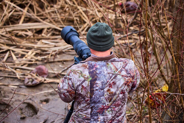 professional photographer in camouflage outfit is hidden in nature