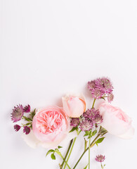 Festive pink flower rose frame on the white background.
