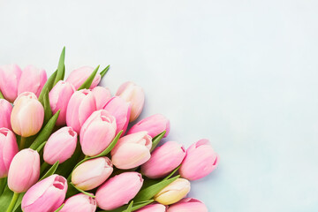 Pink tulips bouquet on a blue background, selective focus. Mothers Day, birthday celebration concept